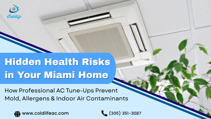 Hidden Health Risks in Your Miami Home